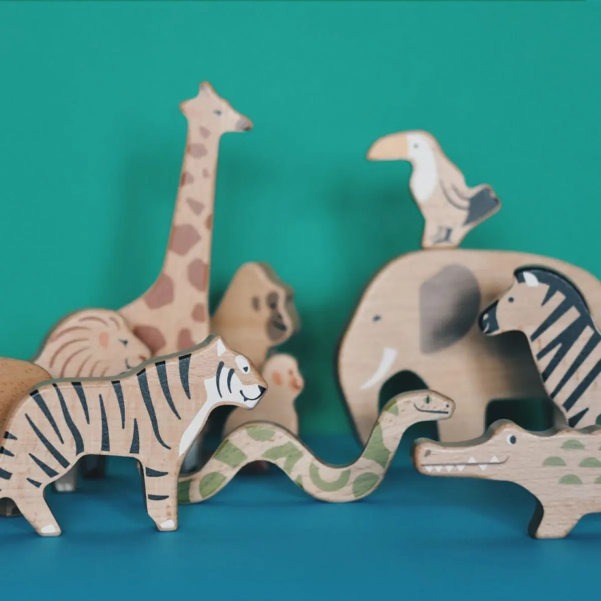 Bajo Wild Animals Jungle