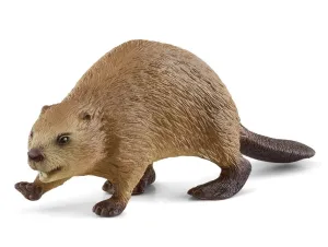 Beaver 14855