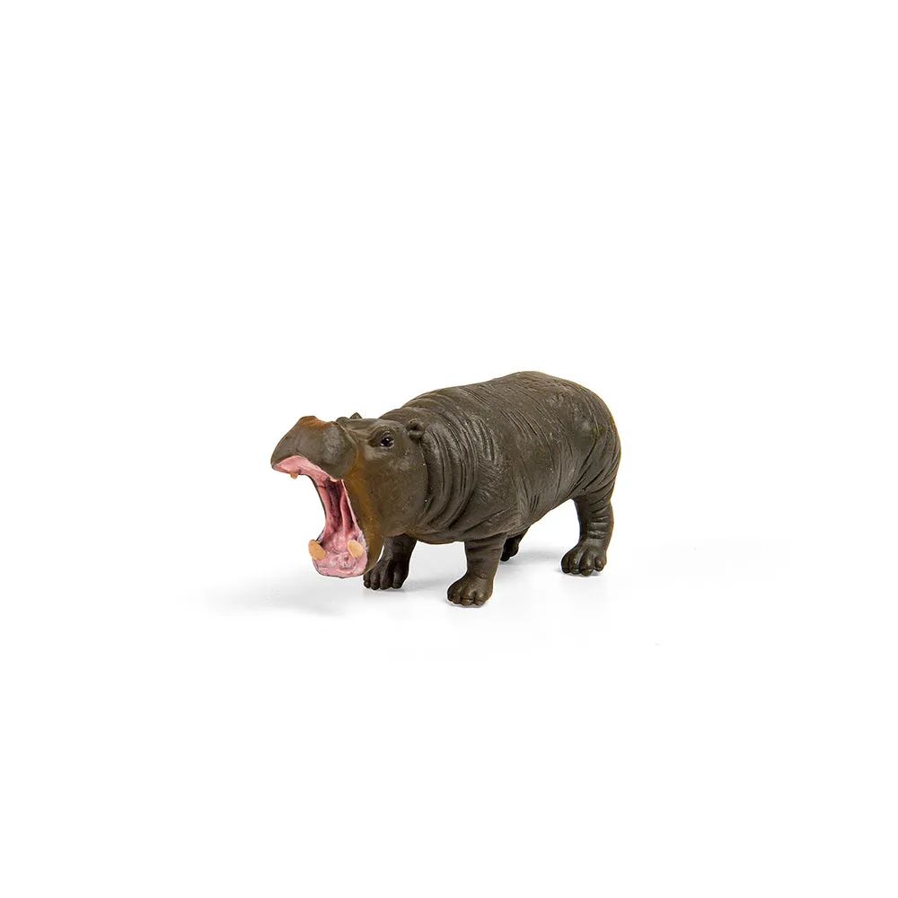 CollectA Box of Mini Wild Animals