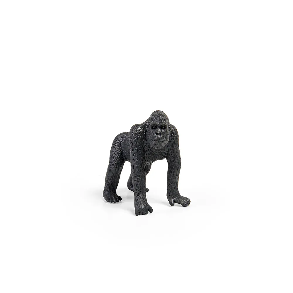 CollectA Box of Mini Wild Animals