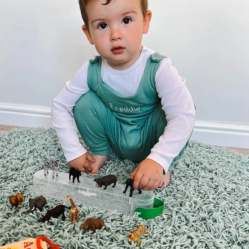 CollectA Box of Mini Wild Animals