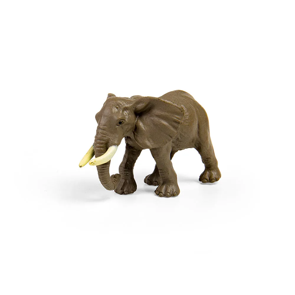 CollectA Box of Mini Wild Animals