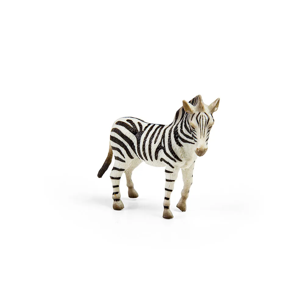 CollectA Box of Mini Wild Animals