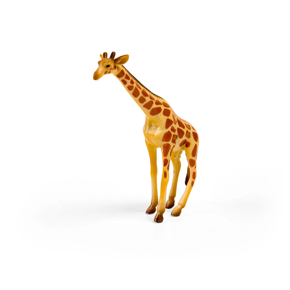 CollectA Box of Mini Wild Animals